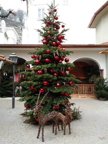 Vánoční strom na Sternadvent