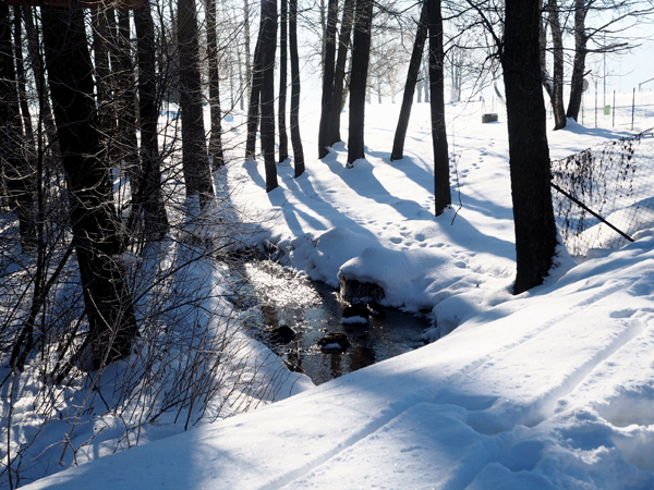 Příroda v zimě na Lipně
